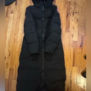 Canada goose